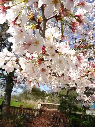 武蔵第六天神社の自然