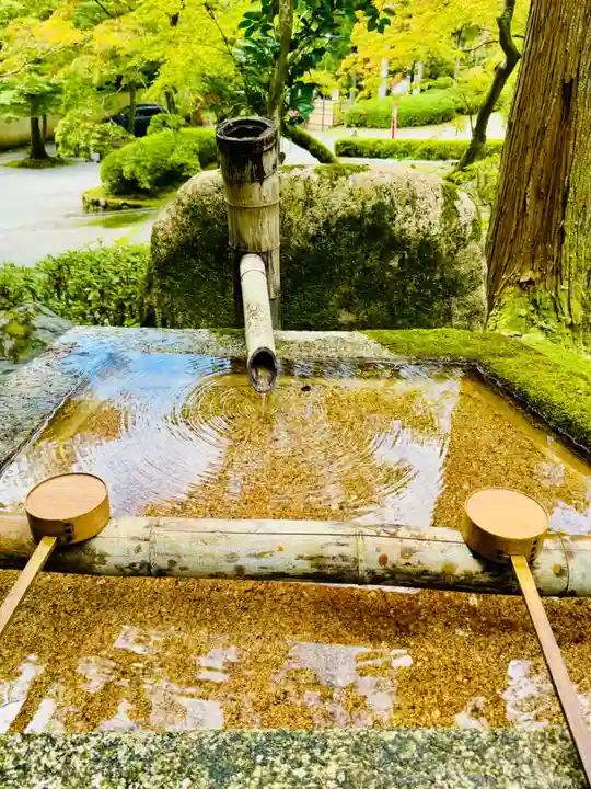 今熊野観音寺(京都府)