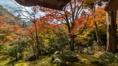 高山寺(京都府)