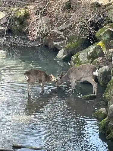 東大寺(奈良県)