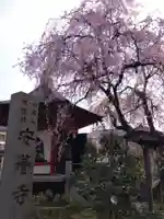 安養寺(福井県)
