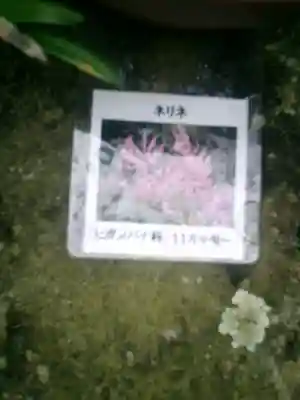 光則寺(神奈川県)