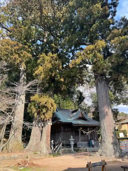 日枝神社(静岡県)