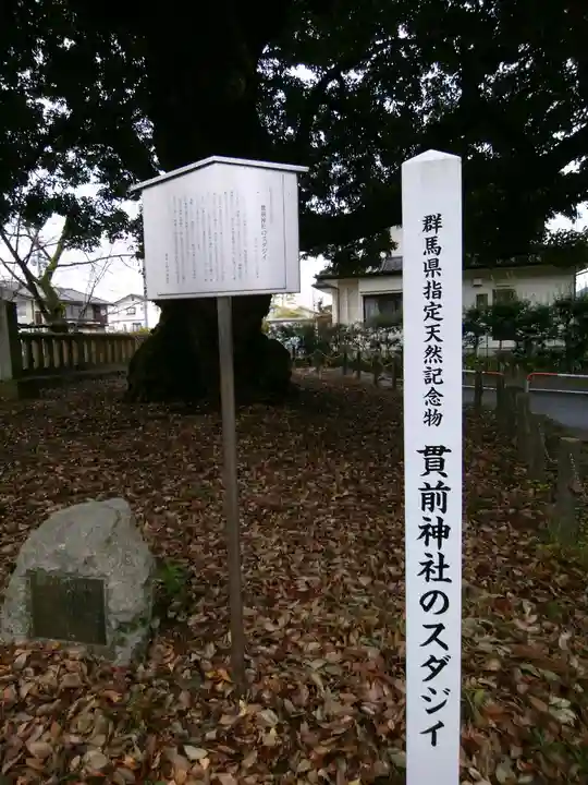 一之宮貫前神社(群馬県)