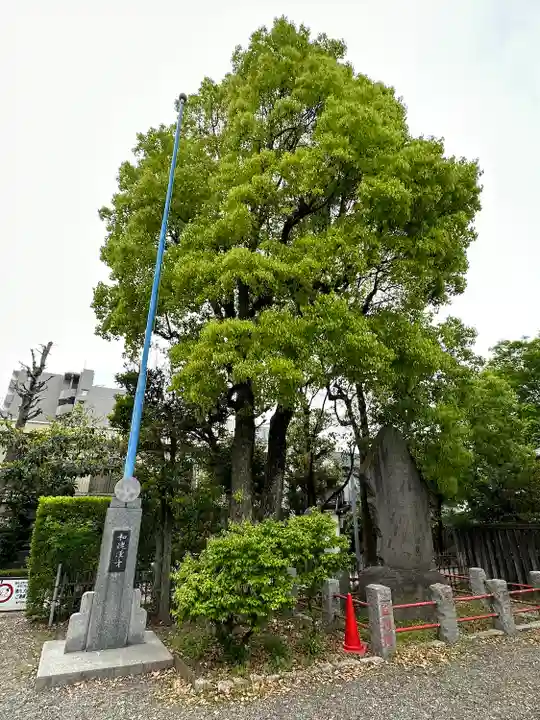 亀戸天神社(東京都)