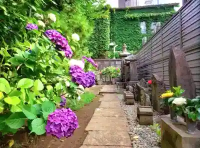 福王山  慈眼寺の自然