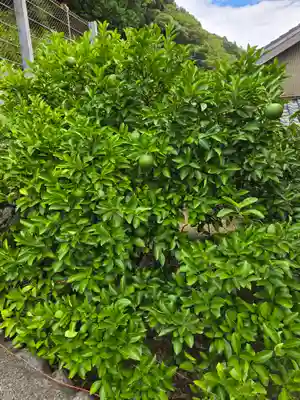 神明宮(静岡県)