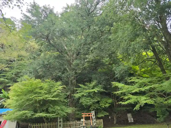 金剛院(京都府)