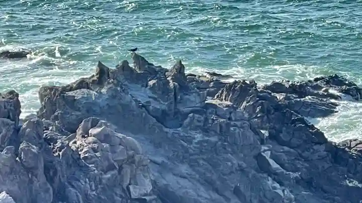 海禅寺(山形県)
