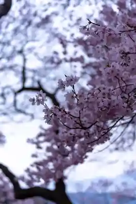 新城藤原神社(長野県)