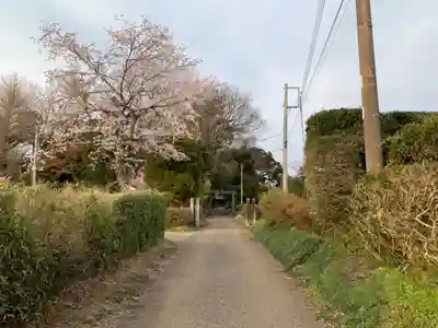 大竹神社(千葉県)