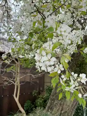 比良賀神社(愛知県)