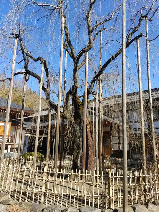 長楽寺(群馬県)