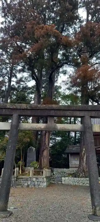 白髭神社(静岡県)