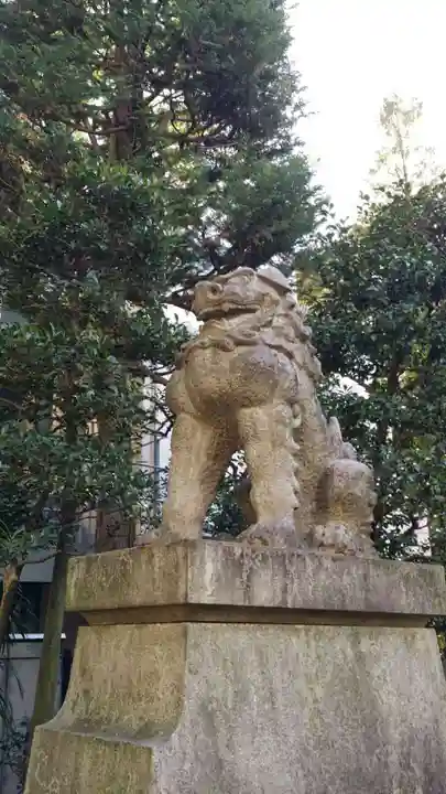 赤坂氷川神社の狛犬