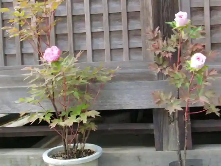 麻賀多神社の自然