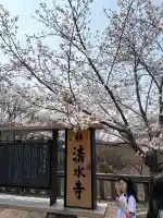 清水寺の{uncategorized: "未分類", other: "その他", undefined: "問題あり", building: "その他建物", grave: "お墓", sacred_gate: "鳥居", guardian: "狛犬", statue: "像", buddha: "仏像", history: "歴史", nature: "自然", garden: "庭園", animal: "動物", pagoda: "塔", temizu: "手水舎", mountain_gate: "山門・神門", sanctuary: "本殿・本堂", subordinate: "末社・摂社", art: "芸術", scenery: "景色", jizo: "地蔵", ema: "絵馬", goshuin: "御朱印", omikuji: "おみくじ", items: "授与品その他", amulet: "お守り", goshuincho: "御朱印帳", eats: "食事", festival: "お祭り", votive_dance: "神楽", shichigosan: "七五三参", wedding: "結婚式", experience: "体験その他", initially: "初詣", around: "周辺", anti_infection: "感染症対策"}