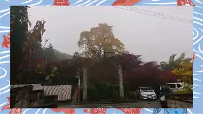 崇禅寺(群馬県)