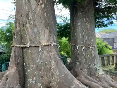 春日神社(東京都)