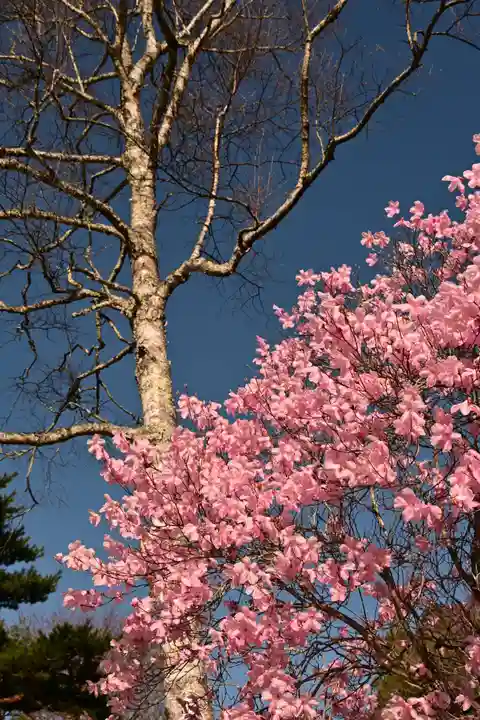 日光二荒山神社中宮祠(栃木県)