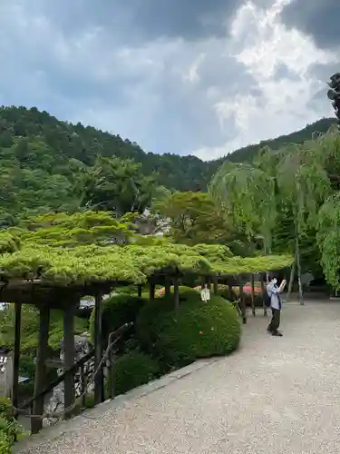 善峯寺の庭園