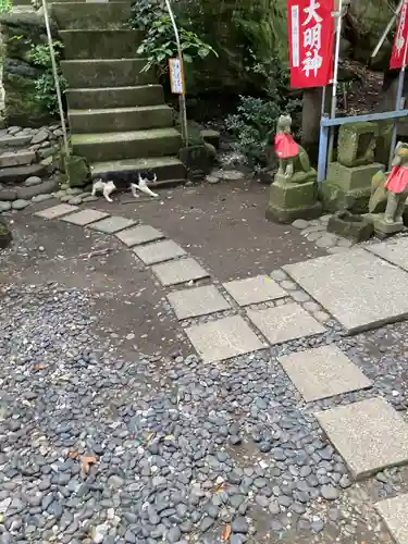 走水神社の動物