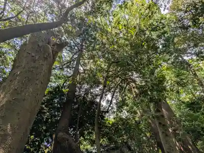 祓戸神社の{uncategorized: "未分類", other: "その他", undefined: "問題あり", building: "その他建物", grave: "お墓", sacred_gate: "鳥居", guardian: "狛犬", statue: "像", buddha: "仏像", history: "歴史", nature: "自然", garden: "庭園", animal: "動物", pagoda: "塔", temizu: "手水舎", mountain_gate: "山門・神門", sanctuary: "本殿・本堂", subordinate: "末社・摂社", art: "芸術", scenery: "景色", jizo: "地蔵", ema: "絵馬", goshuin: "御朱印", omikuji: "おみくじ", items: "授与品その他", amulet: "お守り", goshuincho: "御朱印帳", eats: "食事", festival: "お祭り", votive_dance: "神楽", shichigosan: "七五三参", wedding: "結婚式", experience: "体験その他", initially: "初詣", around: "周辺", anti_infection: "感染症対策"}