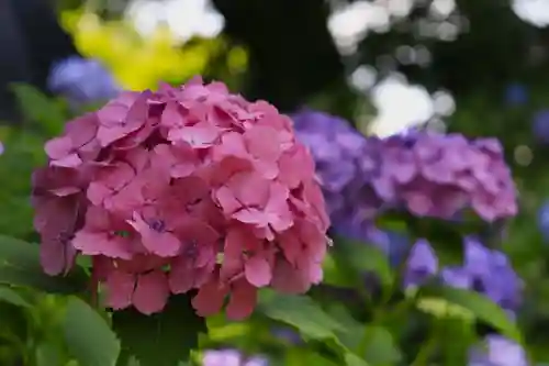  智積院(京都府)