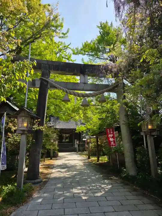 伊勢玉神社の{uncategorized: "未分類", other: "その他", undefined: "問題あり", building: "その他建物", grave: "お墓", sacred_gate: "鳥居", guardian: "狛犬", statue: "像", buddha: "仏像", history: "歴史", nature: "自然", garden: "庭園", animal: "動物", pagoda: "塔", temizu: "手水舎", mountain_gate: "山門・神門", sanctuary: "本殿・本堂", subordinate: "末社・摂社", art: "芸術", scenery: "景色", jizo: "地蔵", ema: "絵馬", goshuin: "御朱印", omikuji: "おみくじ", items: "授与品その他", amulet: "お守り", goshuincho: "御朱印帳", eats: "食事", festival: "お祭り", votive_dance: "神楽", shichigosan: "七五三参", wedding: "結婚式", experience: "体験その他", initially: "初詣", around: "周辺", anti_infection: "感染症対策"}