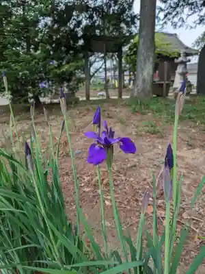 伏木香取神社(茨城県)