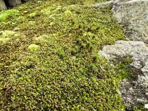 慈照寺（慈照禅寺・銀閣寺）(京都府)