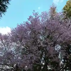 豊景神社の自然