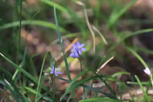 滑川神社 - 仕事と子どもの守り神の自然