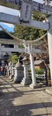 白蛇辨財天の鳥居
