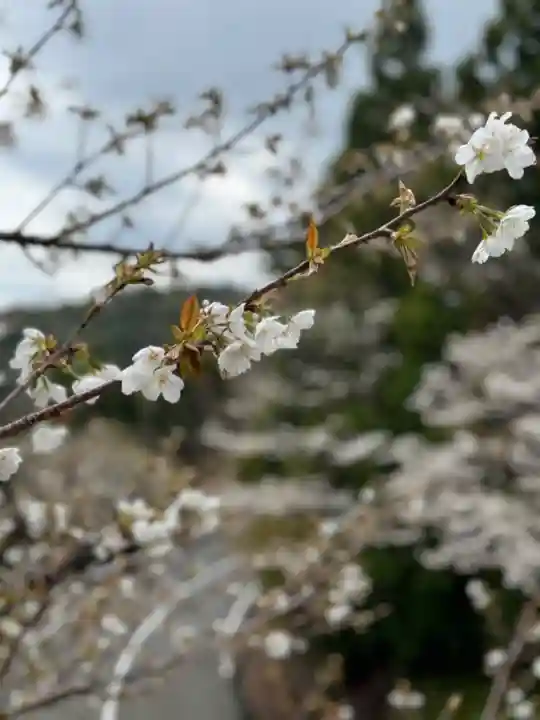 金剛證寺(三重県)