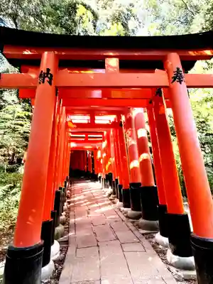 伏見稲荷大社(京都府)