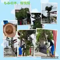 大鏑神社の体験その他