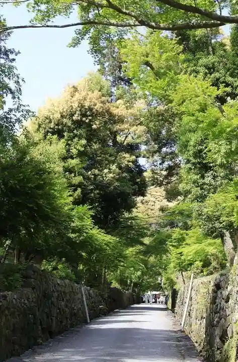 興聖寺(興聖寶林禅寺)(京都府)