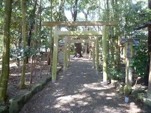 磯神社の鳥居