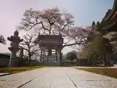 清水寺の建物その他