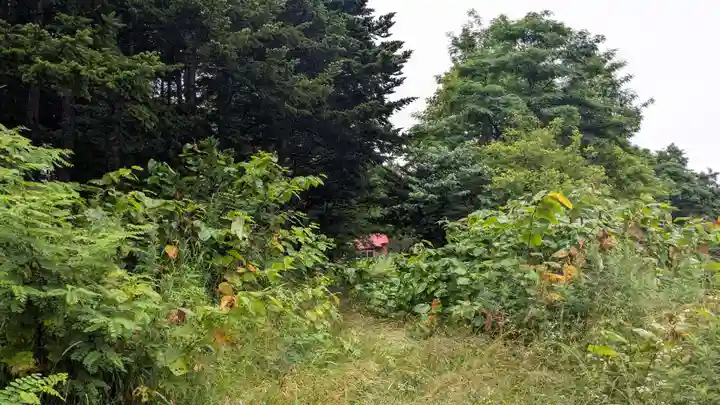 本郷神社の自然
