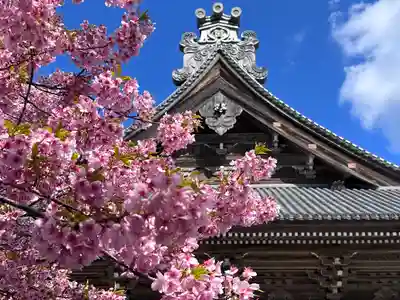 誕生寺(千葉県)