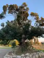 長楽寺のその他建物