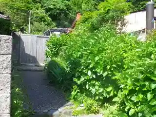 御霊神社の自然