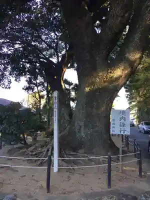 結城神社(三重県)