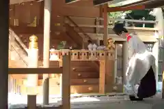 伊勢山皇大神宮のお祭り