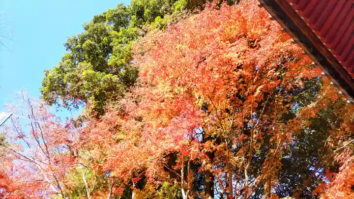 秩父札所1番 四萬部寺(埼玉県)