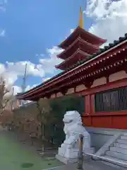 浅草寺の狛犬