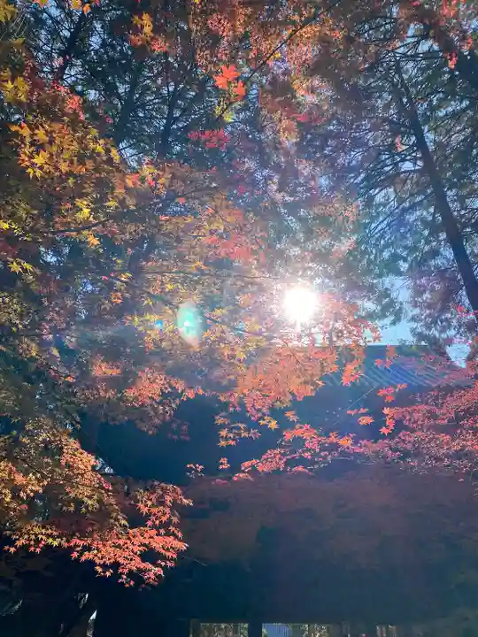 曹源寺(岡山県)