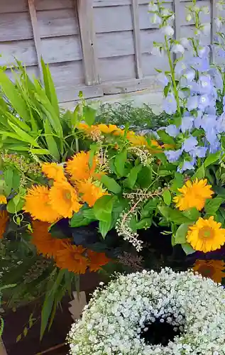 唐崎神社の自然